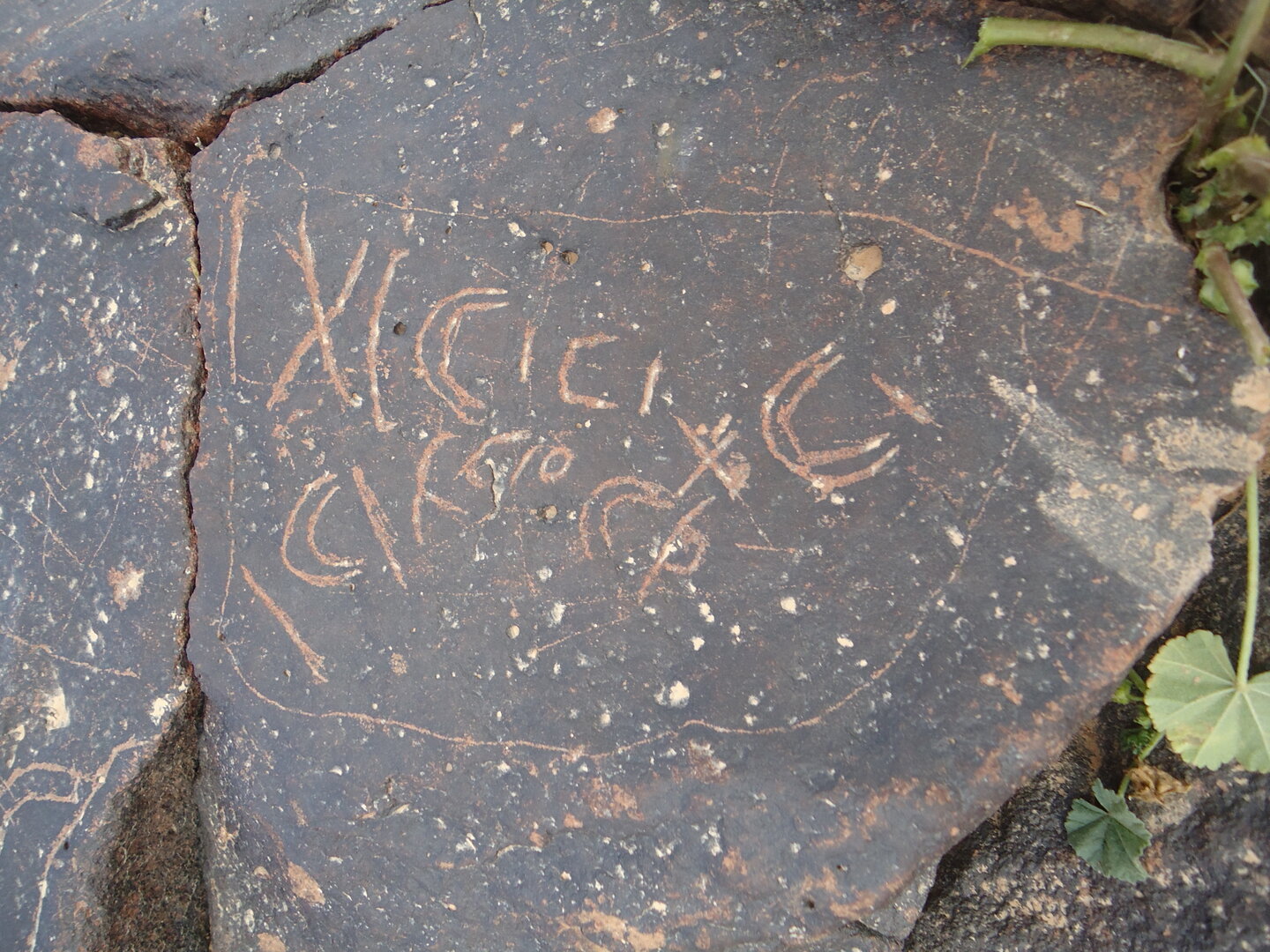 inscription of siglum ZMMS 97