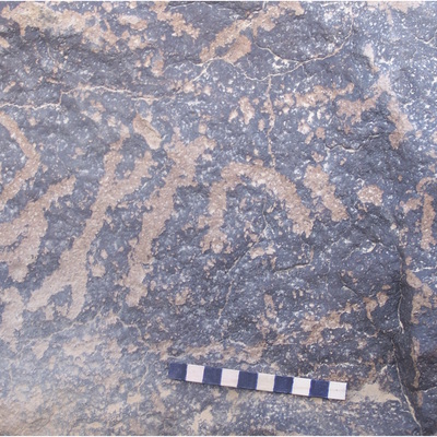 inscription of siglum ZSSH 28