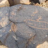 inscription of siglum ZSSH 49