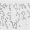 inscription of siglum ZeGA 15