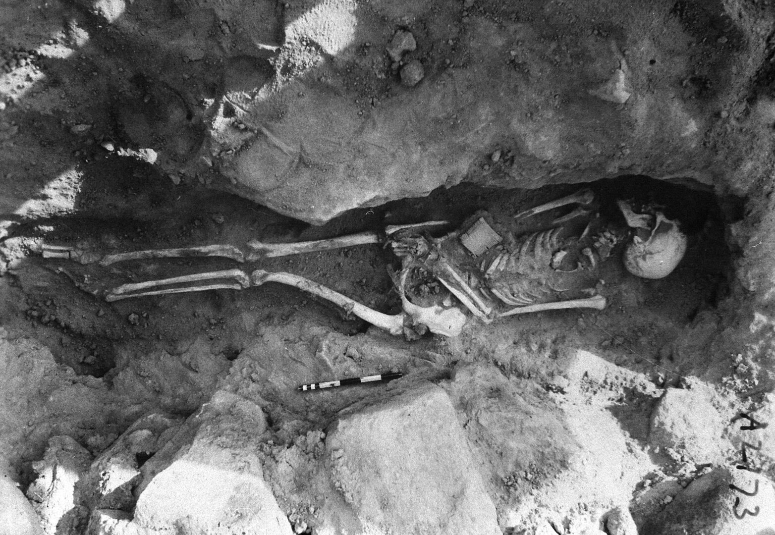 Hāniʾ's skeleton in situ