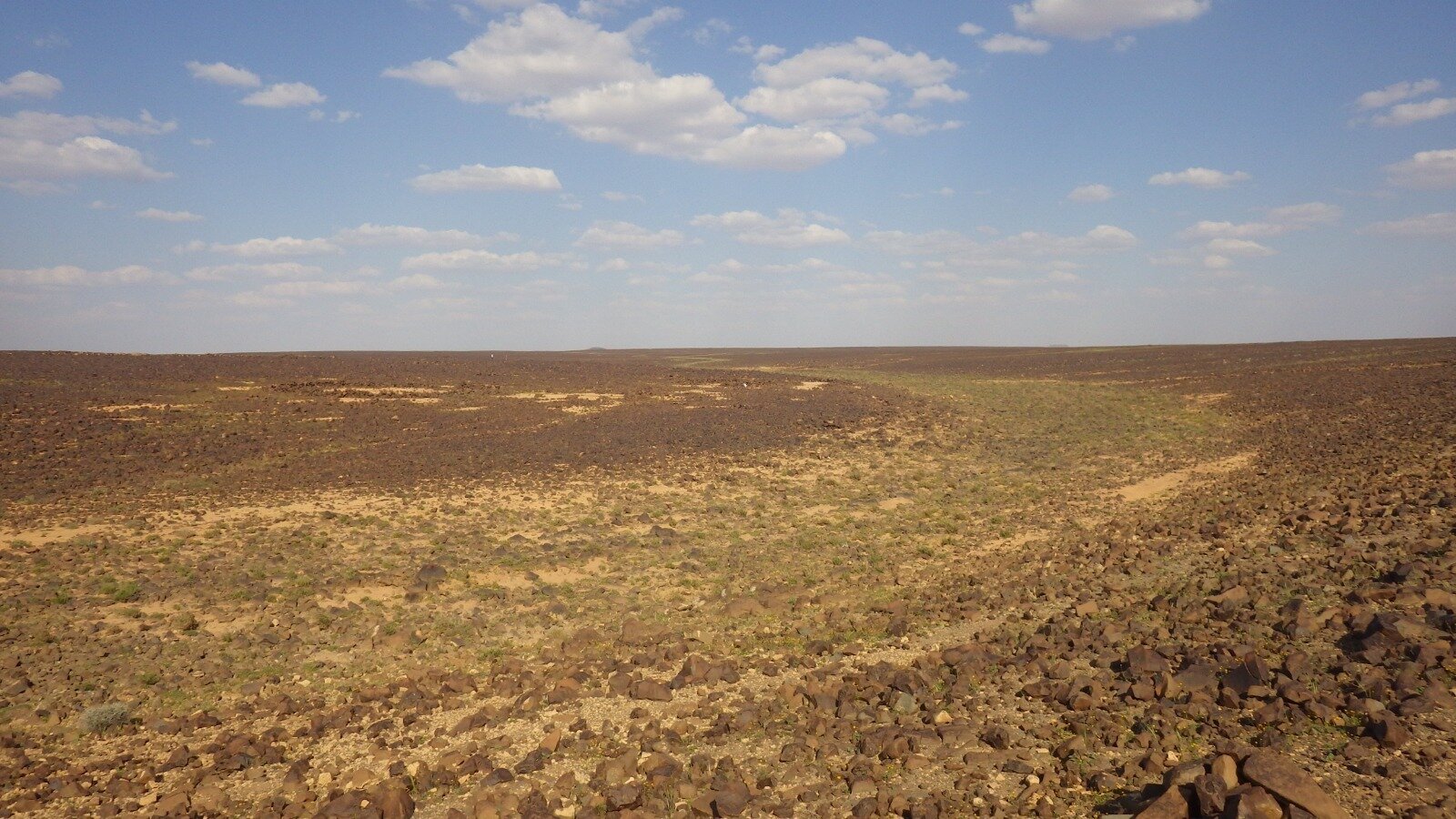 Image of herbage