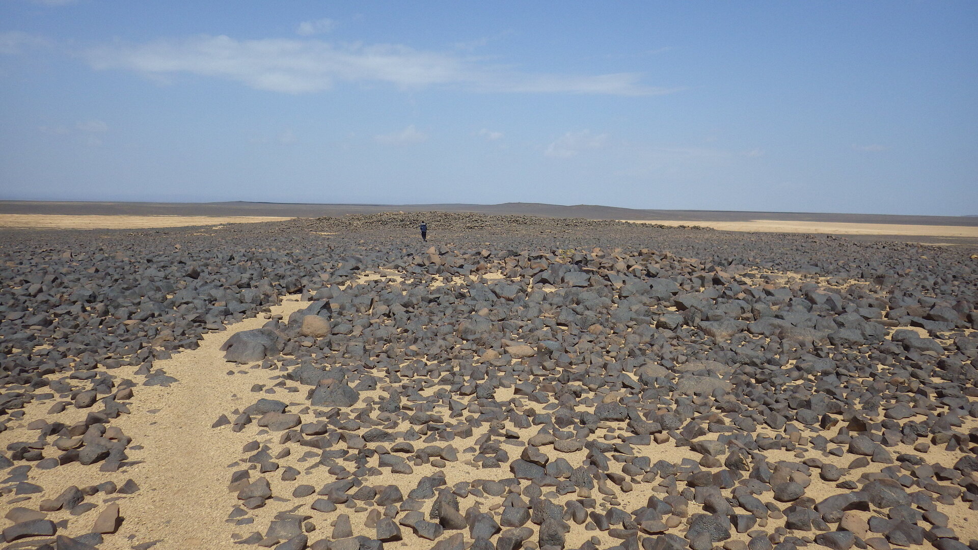 Image of goat path at MS