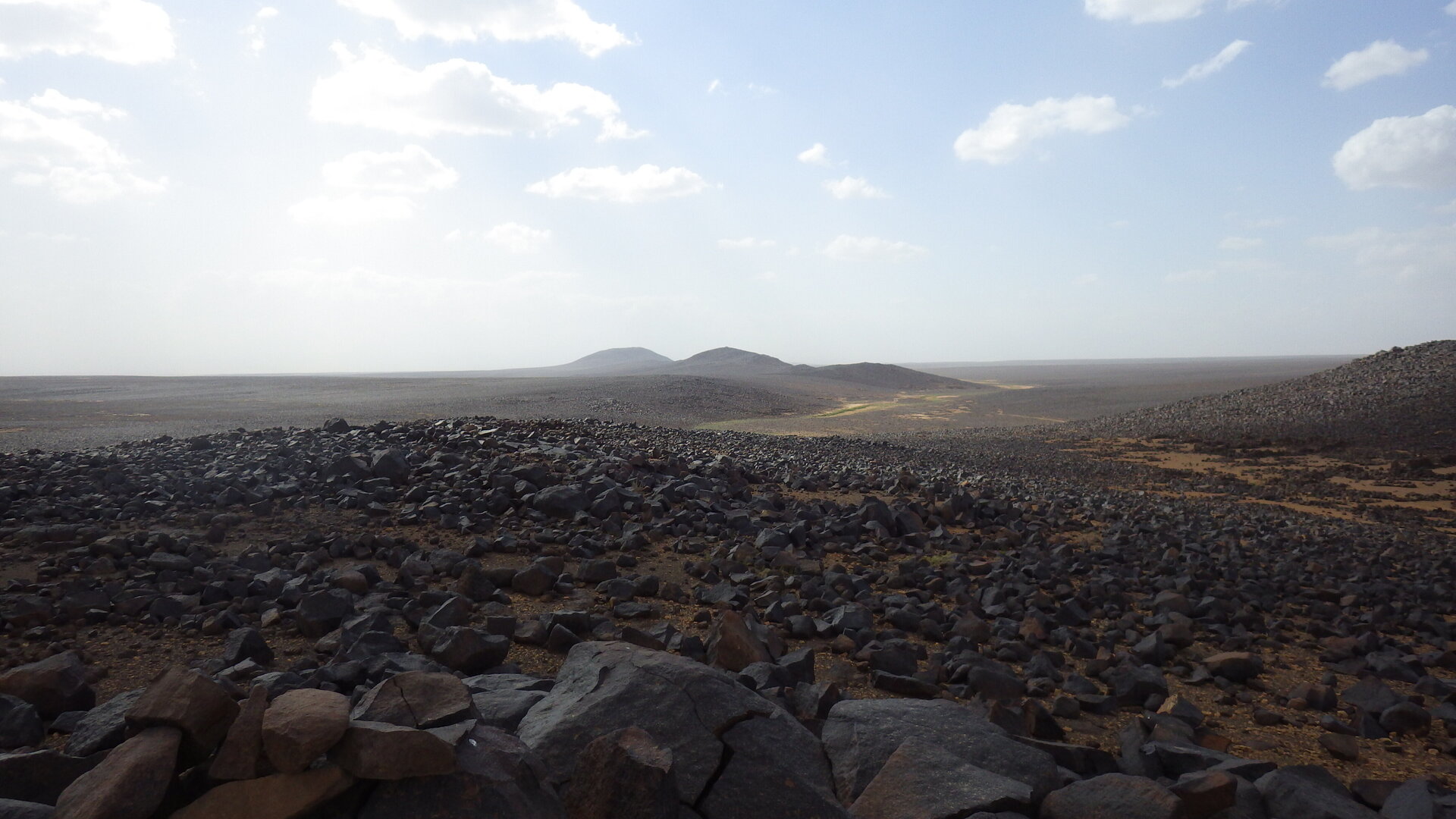 Image of landscape MS