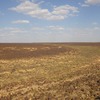 Image of herbage