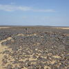 Image of goat path at MS