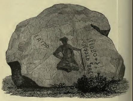 Drawing of RZ