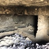 Image of tomb II interior