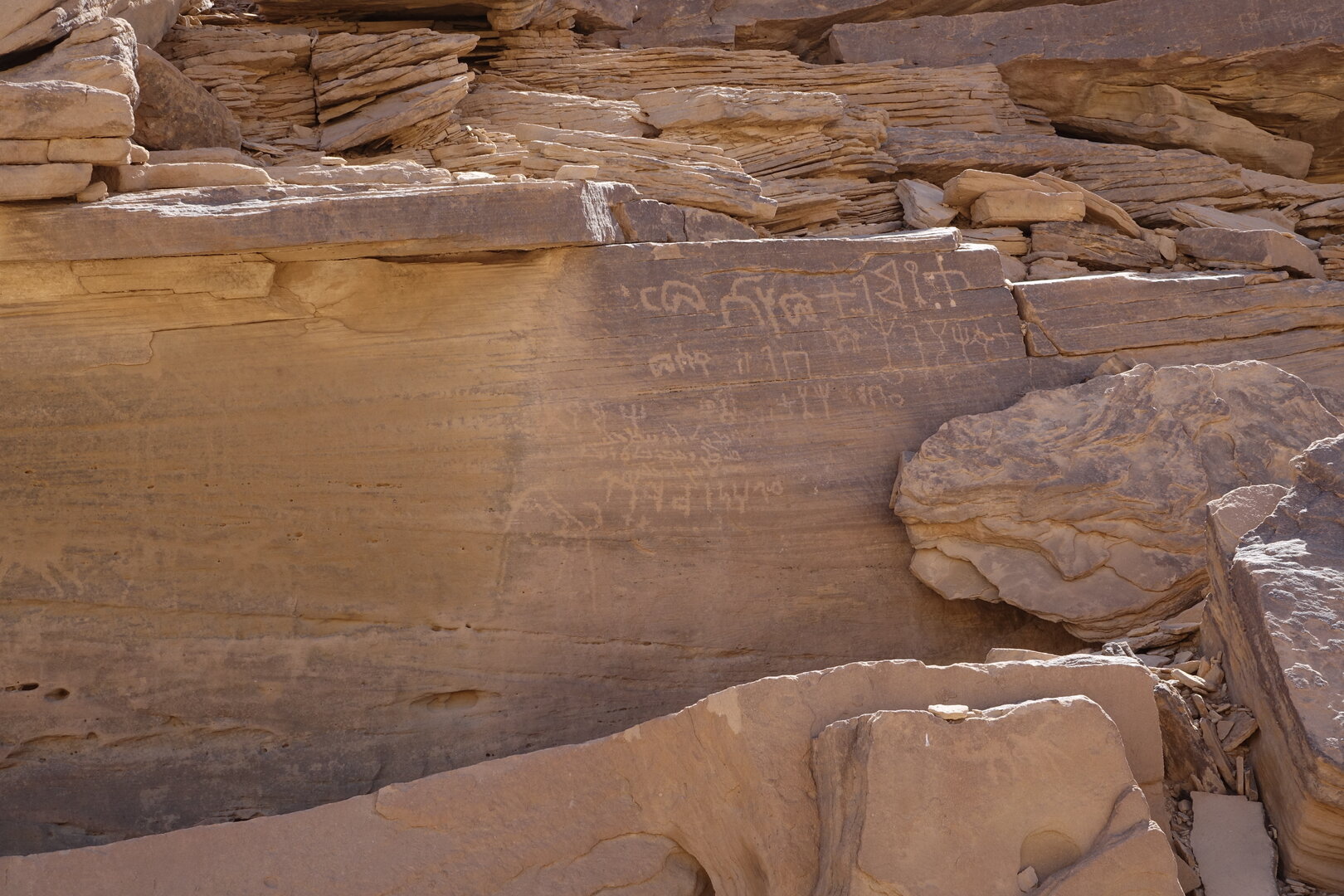 Image of HAB panel